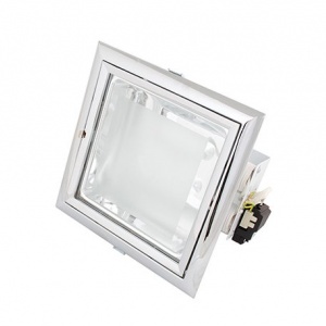 DLS8 Corp de il tip downlight Lumineco CROM